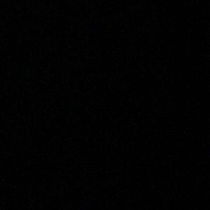 Meet your Posher, Ally